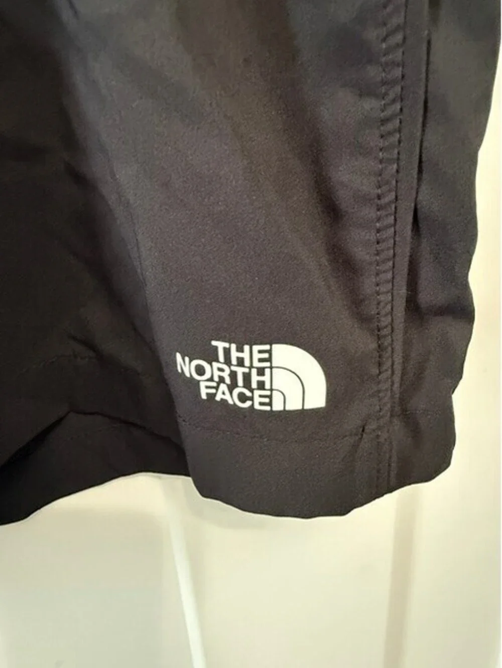 The North Face men north